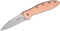 Kershaw Leek, BlackWash Pocket Knife (1660BLKW); 3 Sandvik 14C28N Steel Blade, 410 Stainless Steel Handle, BlackWash Finish, SpeedSafe Assisted Open, Frame and Tip Locks, Reversible Pocketclip; 3 OZ