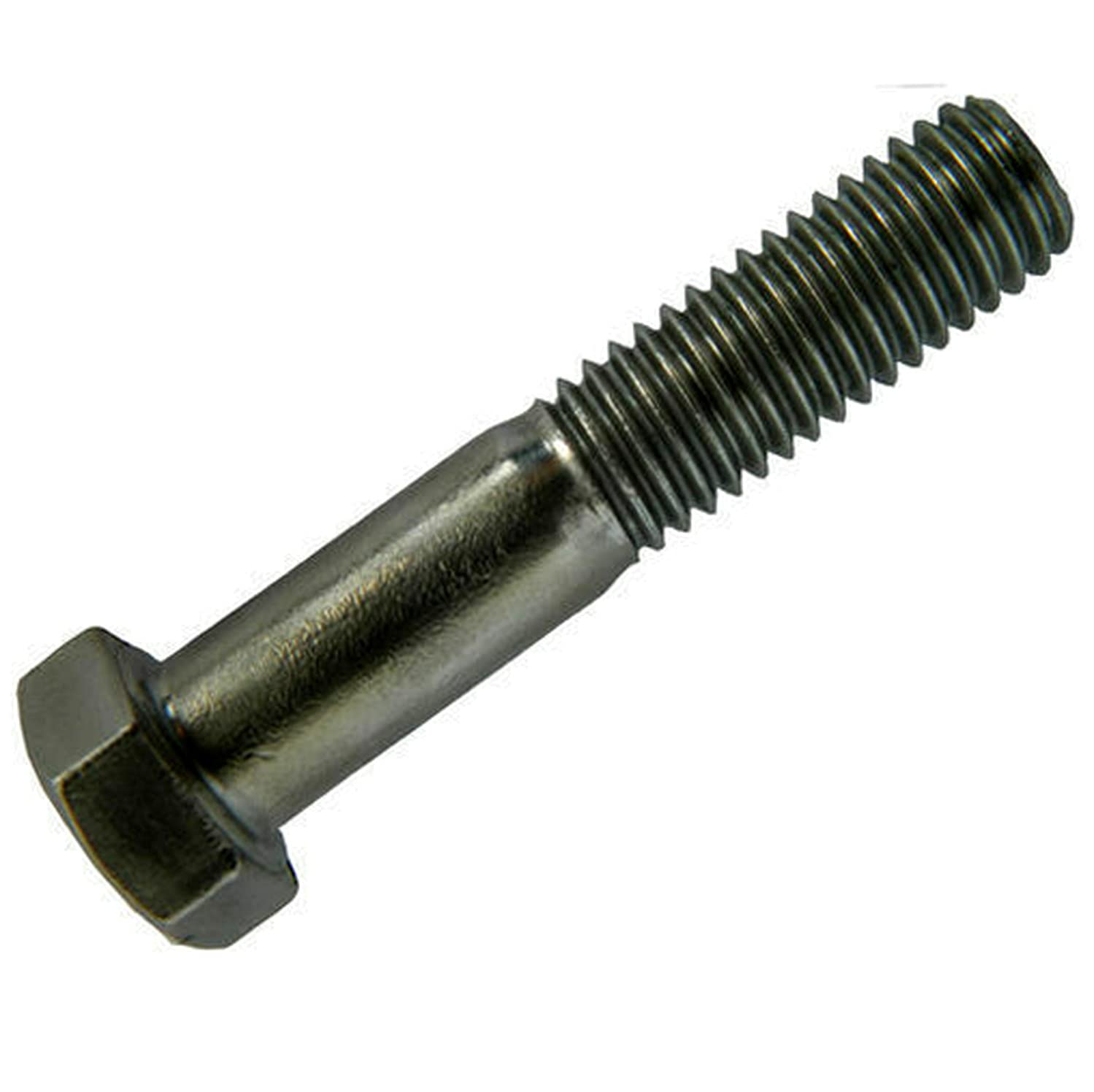 Hex Cap Screws Kit Hardware Stainless Steel 1/2-13 x 5/8' Pack of 250 Fastener Set LS24515F