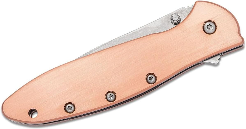 Kershaw Leek, BlackWash Pocket Knife (1660BLKW); 3 Sandvik 14C28N Steel Blade, 410 Stainless Steel Handle, BlackWash Finish, SpeedSafe Assisted Open, Frame and Tip Locks, Reversible Pocketclip; 3 OZ