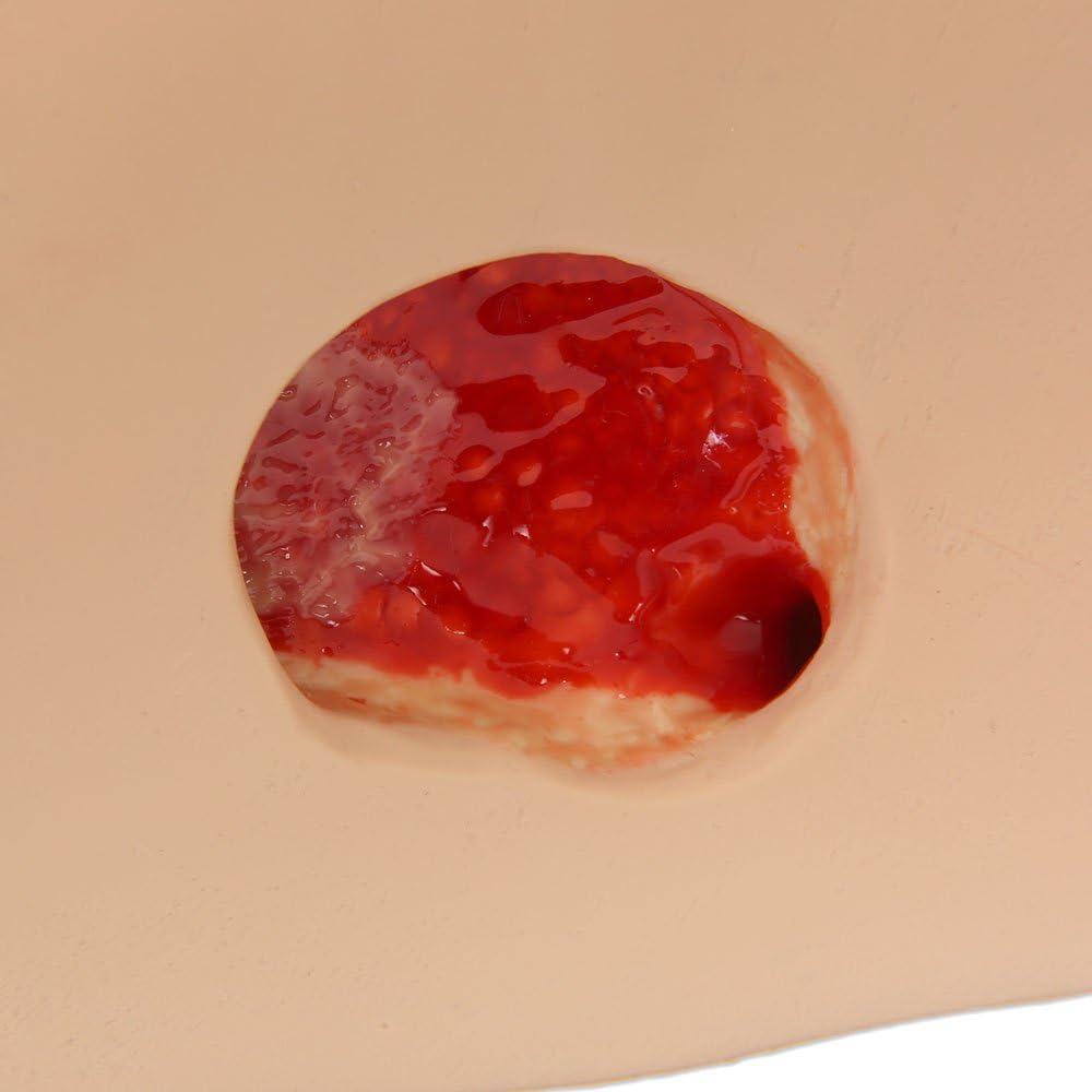 VATA Seymour II Wound Care Model - VATA Seymour II Simulator for Nursing Students and Medical Educators - Lightly Pigmented Wound Care Model - Realistic, Flexible, Molded Training Aid