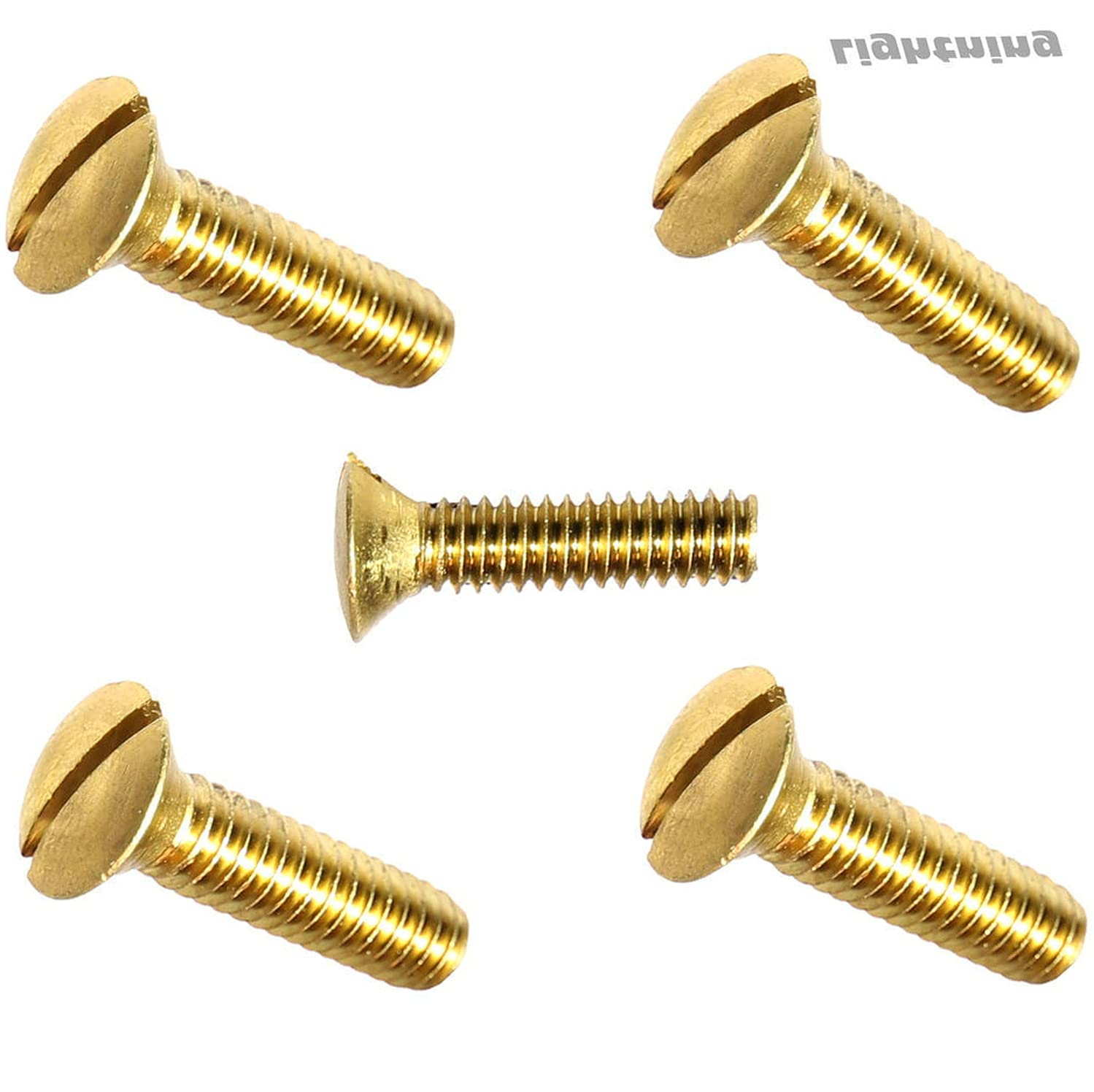 1/4-20 x 1/2' Solid Brass Oval Head Machine Screws Kit Hardware Slotted Drive Quantity 500 Fastener Set LS19557F
