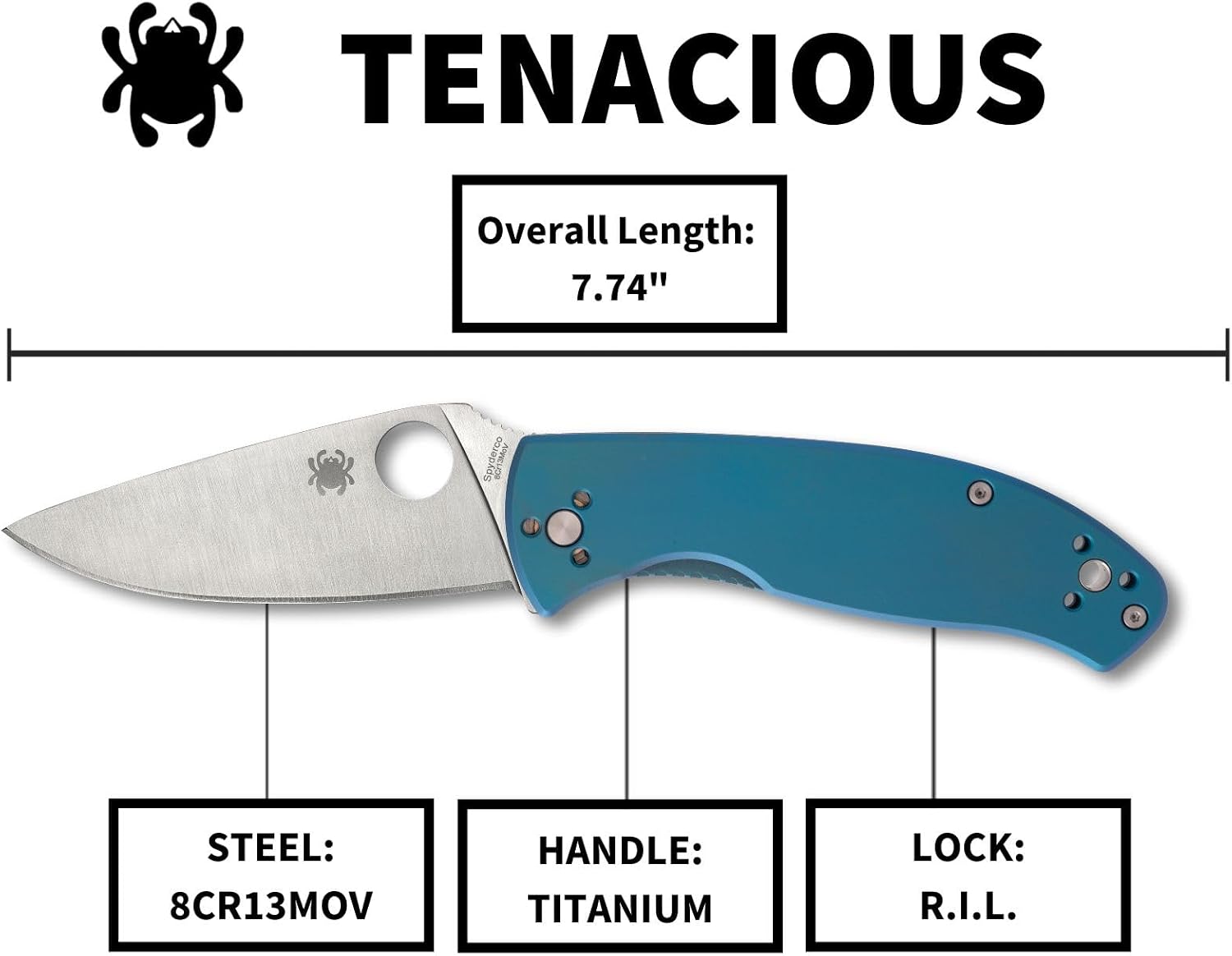 Spyderco Tenacious Folding Pocket Knife, PlainEdge | 7.74' Overall Length, 3.3' 8Cr13MoV Steel Blade, Titanium Handle, R.I.L Lock, Full-Flat Grind