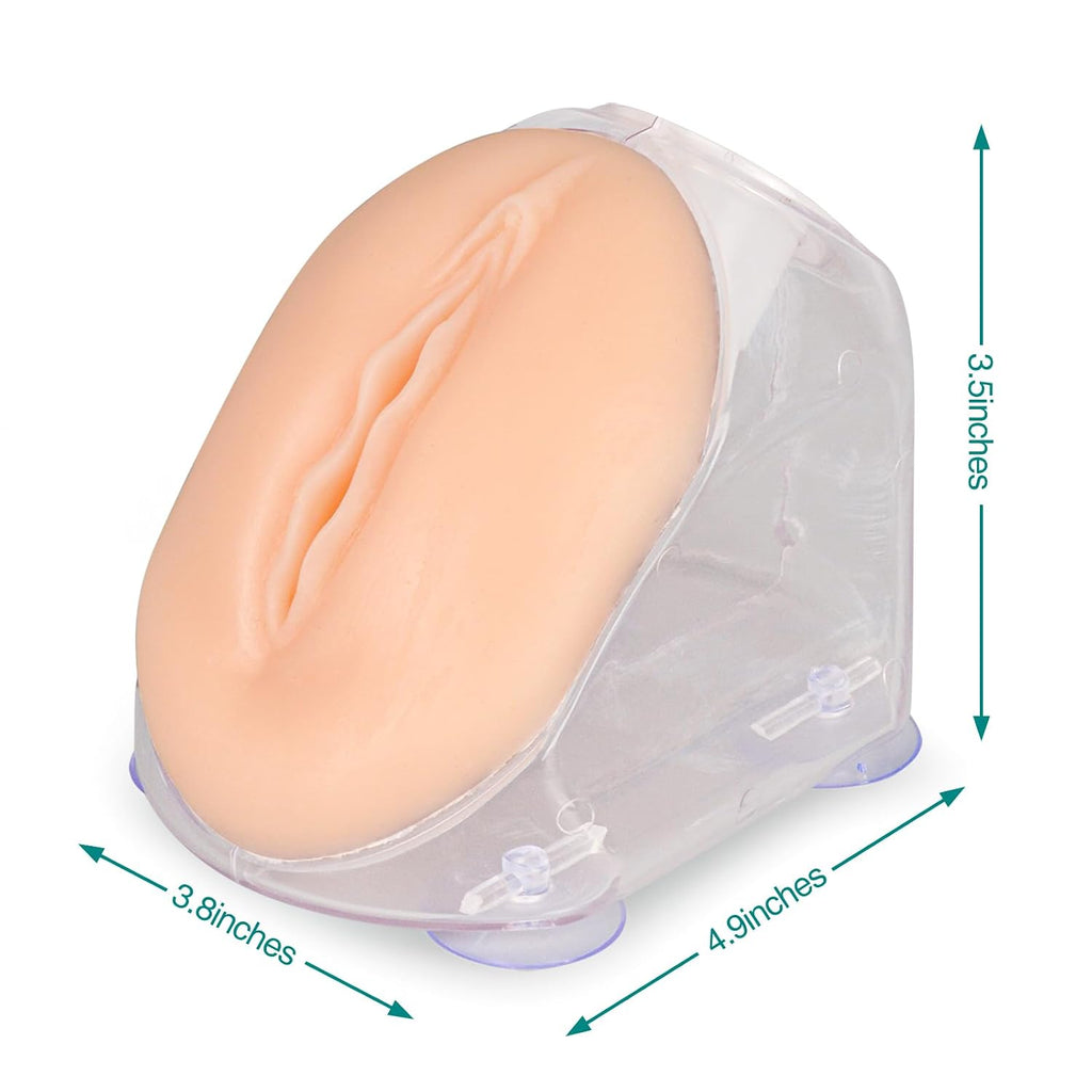 Female Urinary Catheterization Trainer, Urethral Catheterization Insertion Simulator, Urinary Catheter Anatomy Model for Nursing Skills Practice
