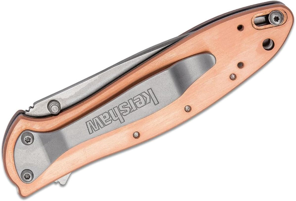 Kershaw Leek, BlackWash Pocket Knife (1660BLKW); 3 Sandvik 14C28N Steel Blade, 410 Stainless Steel Handle, BlackWash Finish, SpeedSafe Assisted Open, Frame and Tip Locks, Reversible Pocketclip; 3 OZ