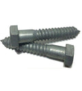 1/4' x 1 1/2' - Hex Head Lag Screw/Bolt Hot Dipped Galvanized HDG 1000 Pcs Lag Screws B2B