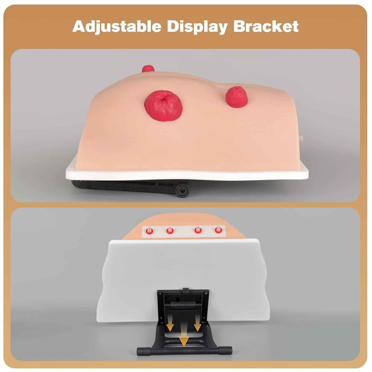 Ostomy Care Trainer Kit, Realistic Abdominal Stoma Model with 4 Stoma Types, Medical Simulation Model for Nursing Students & Patient Care Training