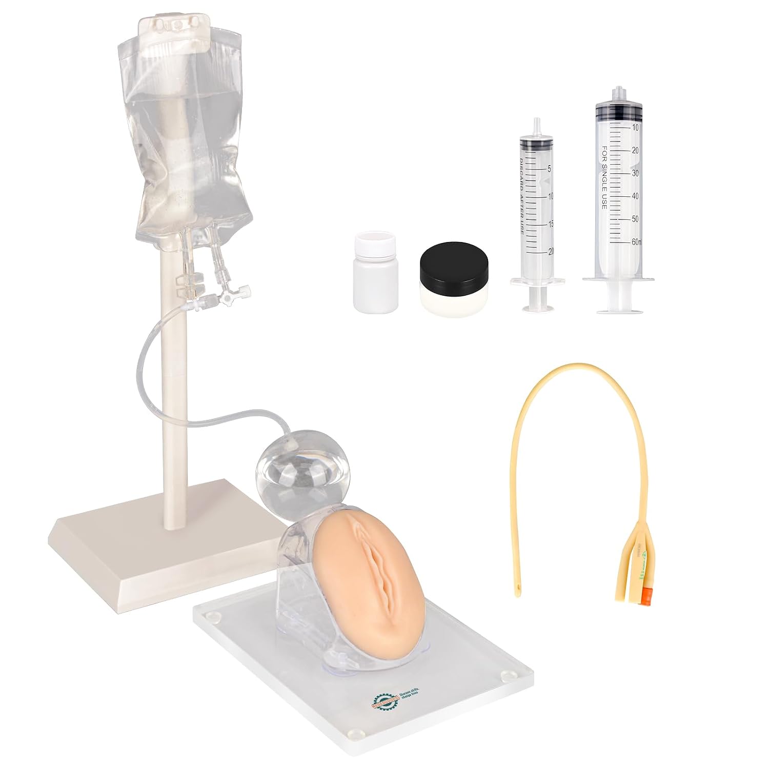 Female Urinary Catheterization Trainer, Urethral Catheterization Insertion Simulator, Urinary Catheter Anatomy Model for Nursing Skills Practice