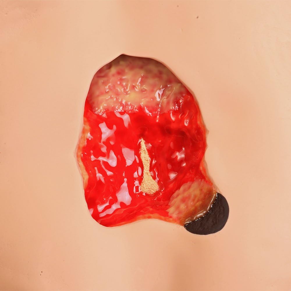 VATA Seymour II Wound Care Model - VATA Seymour II Simulator for Nursing Students and Medical Educators - Lightly Pigmented Wound Care Model - Realistic, Flexible, Molded Training Aid
