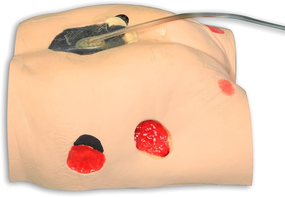 VATA Seymour II Wound Care Model - VATA Seymour II Simulator for Nursing Students and Medical Educators - Lightly Pigmented Wound Care Model - Realistic, Flexible, Molded Training Aid