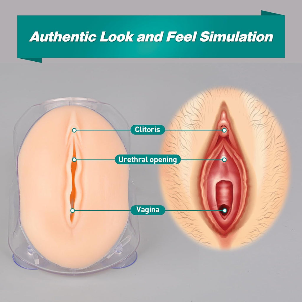Female Urinary Catheterization Trainer, Urethral Catheterization Insertion Simulator, Urinary Catheter Anatomy Model for Nursing Skills Practice