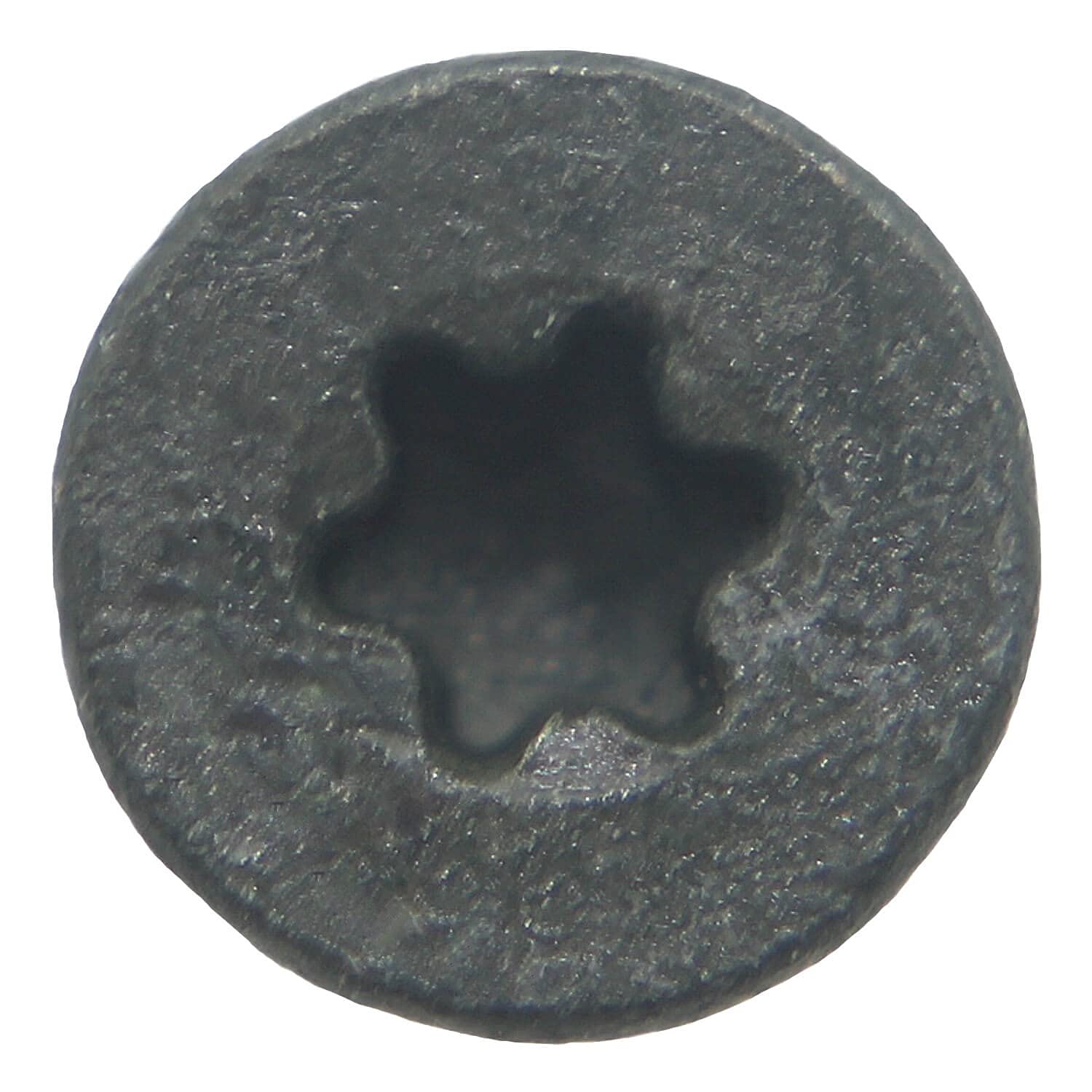 Jake Sales #10x1-1/4 Cement Board Star Head Screws - Drill Point for Fastening Cement Backer Board/Cement Board/Tile Board - T-25 Star Head (Full Box 5000 Screw Count)
