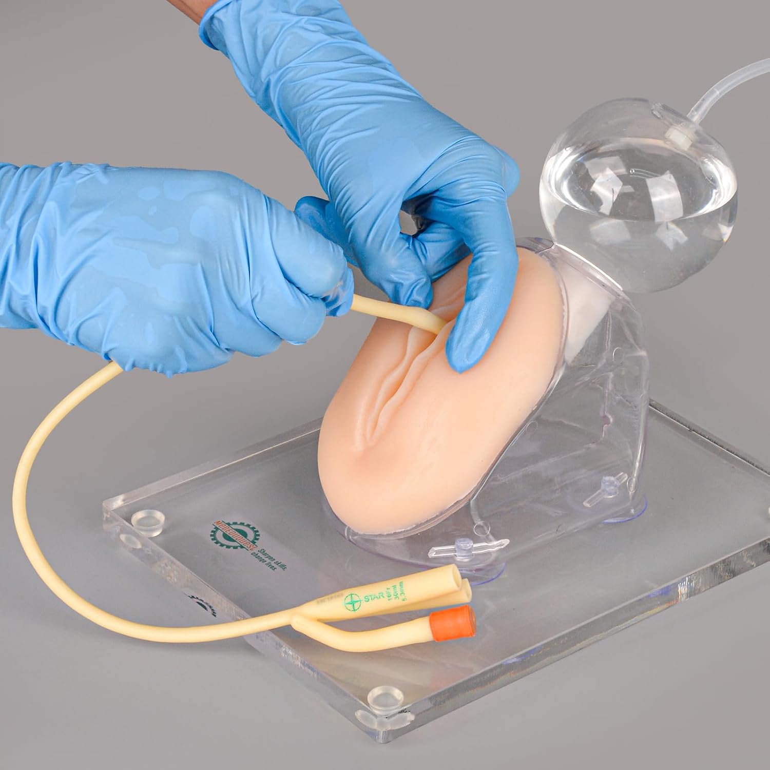 Female Urinary Catheterization Trainer, Urethral Catheterization Insertion Simulator, Urinary Catheter Anatomy Model for Nursing Skills Practice