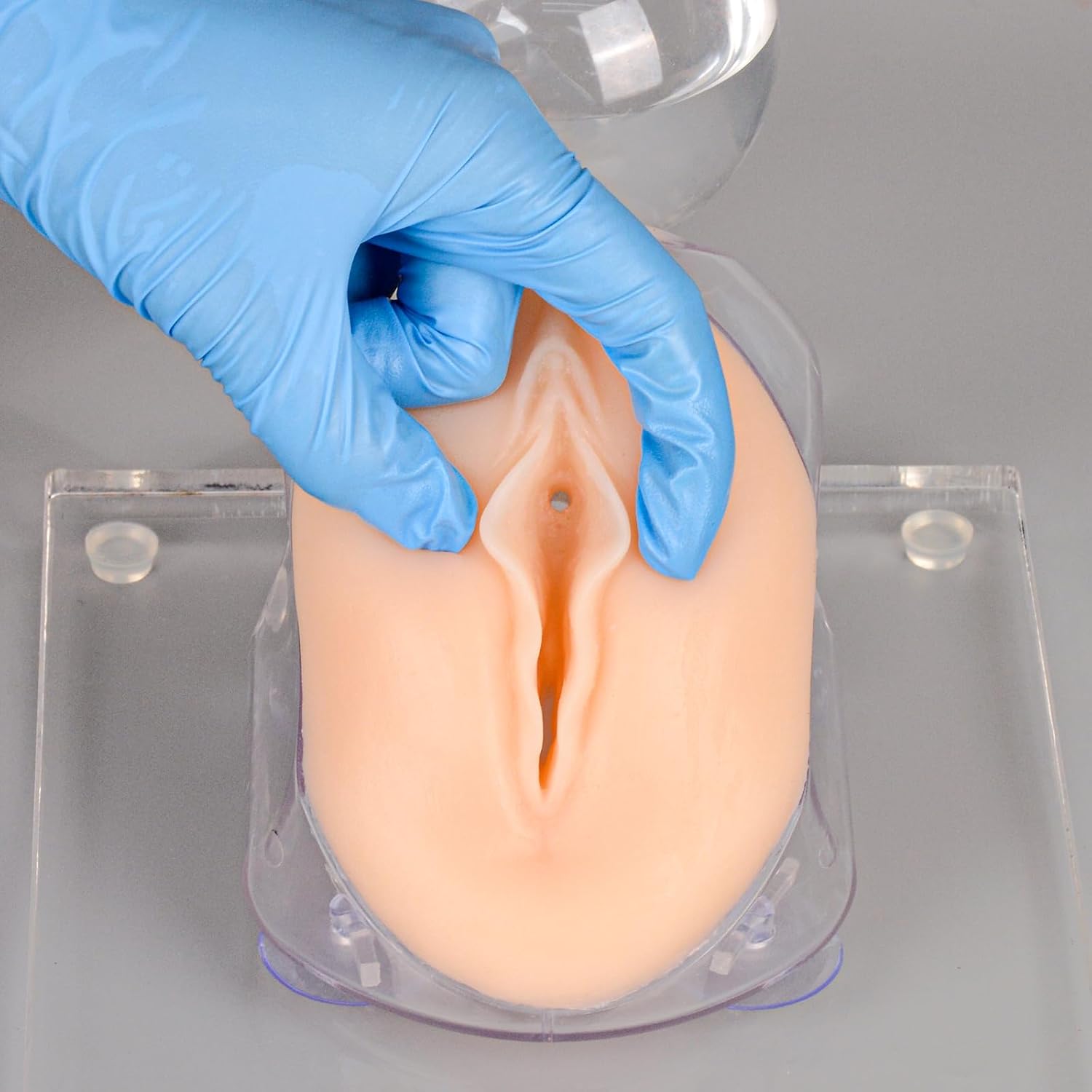 Female Urinary Catheterization Trainer, Urethral Catheterization Insertion Simulator, Urinary Catheter Anatomy Model for Nursing Skills Practice