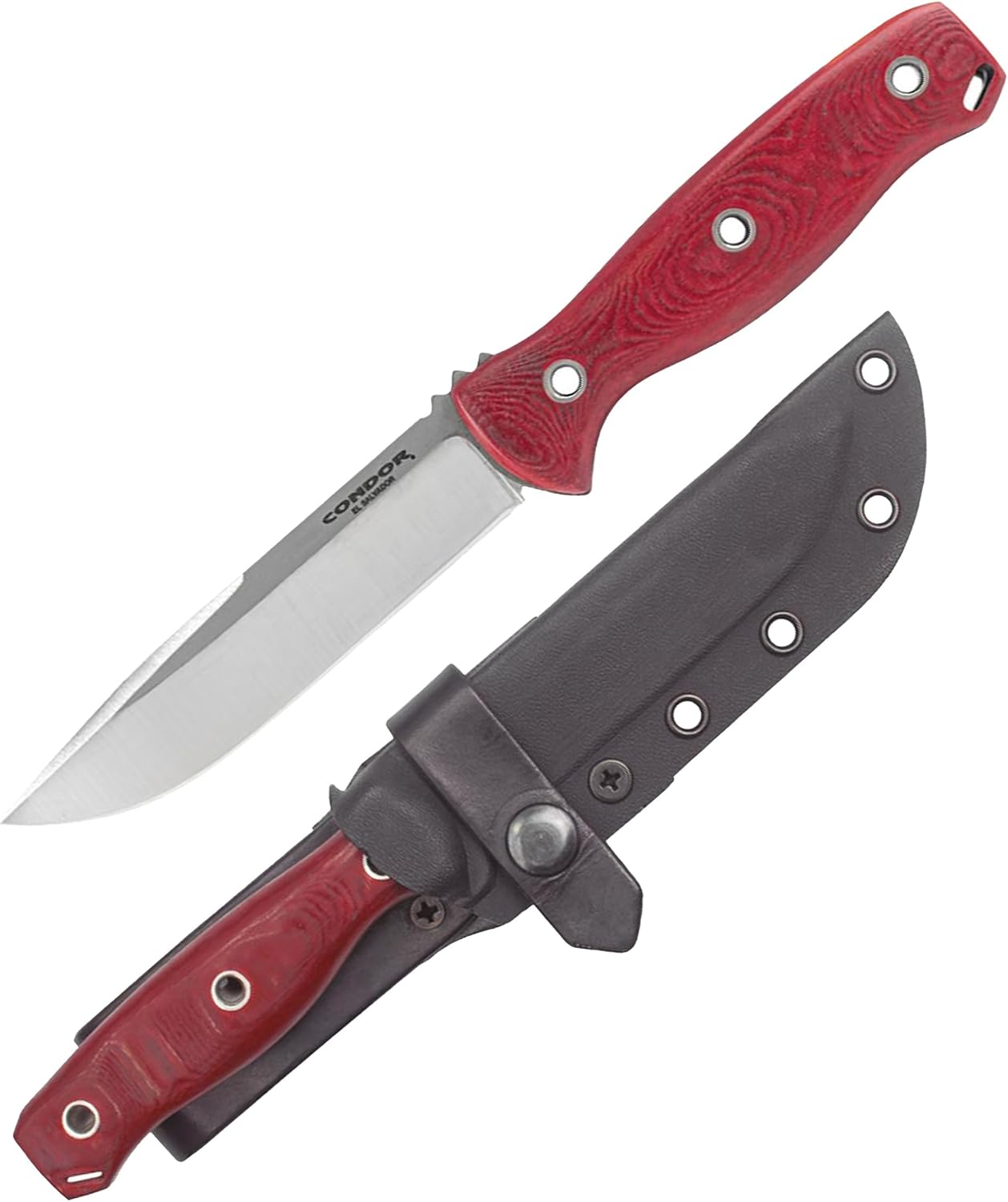 Condor Bushcraft Bliss Knife - 1075 High Carbon Steel - Walnut Handle - Small Fixed Blade Knife with Kydex Leather Loop Sheath - 3mm Thick - 4.8in Blade - 9.8oz