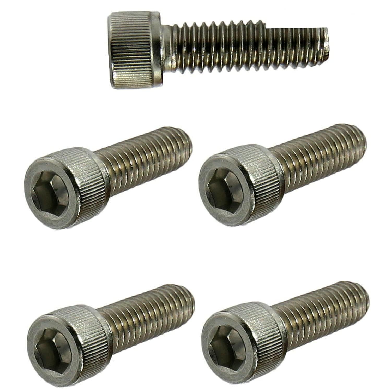 Socket Head Cap Screws Kit Hardware Stainless Steel Full Thread 1/4-20 X 5/8' Pack of 2500 Fastener Set LS24425F
