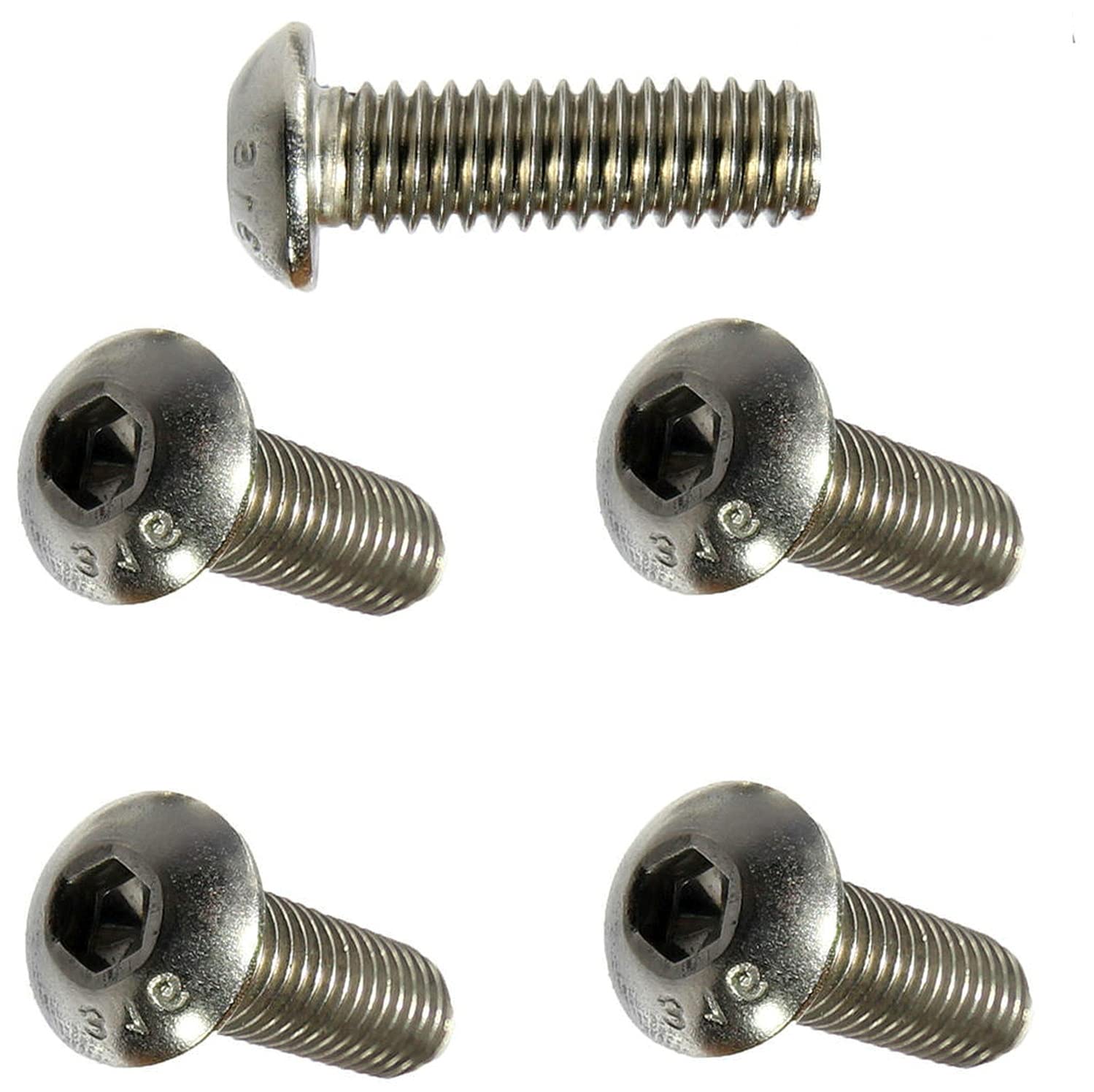 Button Socket Cap Screws Kit Hardware 316 Stainless Steel Marine Grade 1/4-20 X 5/8' Pack of 1000 Fastener Set LS23980F