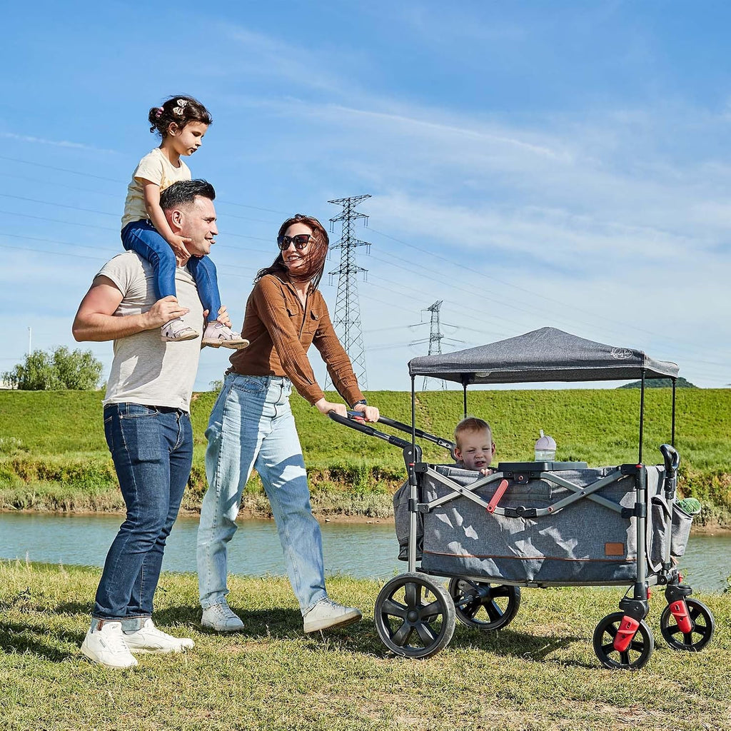 Busy Bee Foldable Wagon Stroller for 2 Kids, Push Pull Collapsible Kids Wagon with Adjustable Handle Bar, Removable Canopy, 5-Point Harness, Shock-Absorbing Wheels, Grey