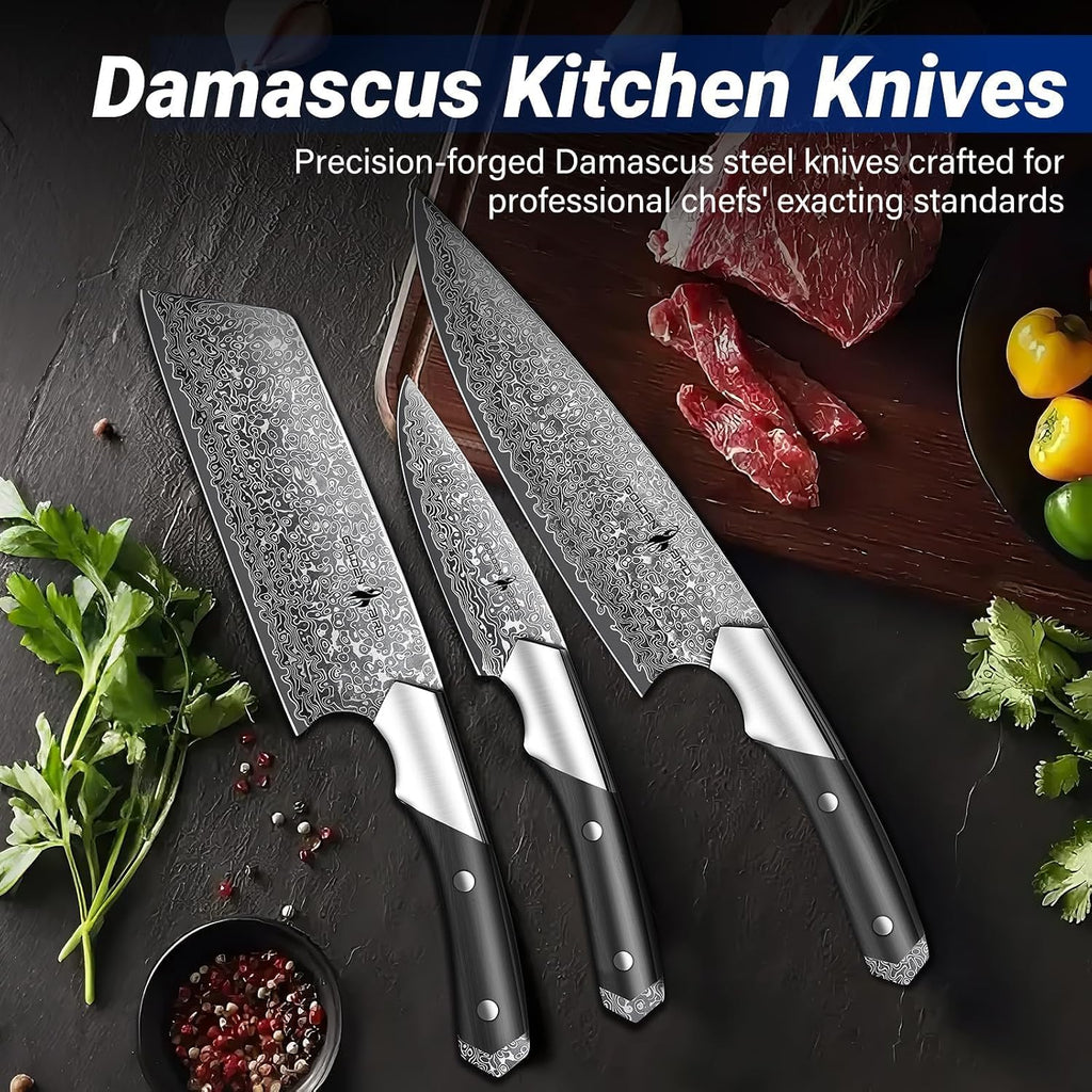 Golden Bird Damascus Kitchen Knife Set, 3 PCS Chef Knife Set Professional, Razor Sharp 67 Layers Damascus Japanese Knives Set for Kitchen with Wood Handle,Gifts for Men Women