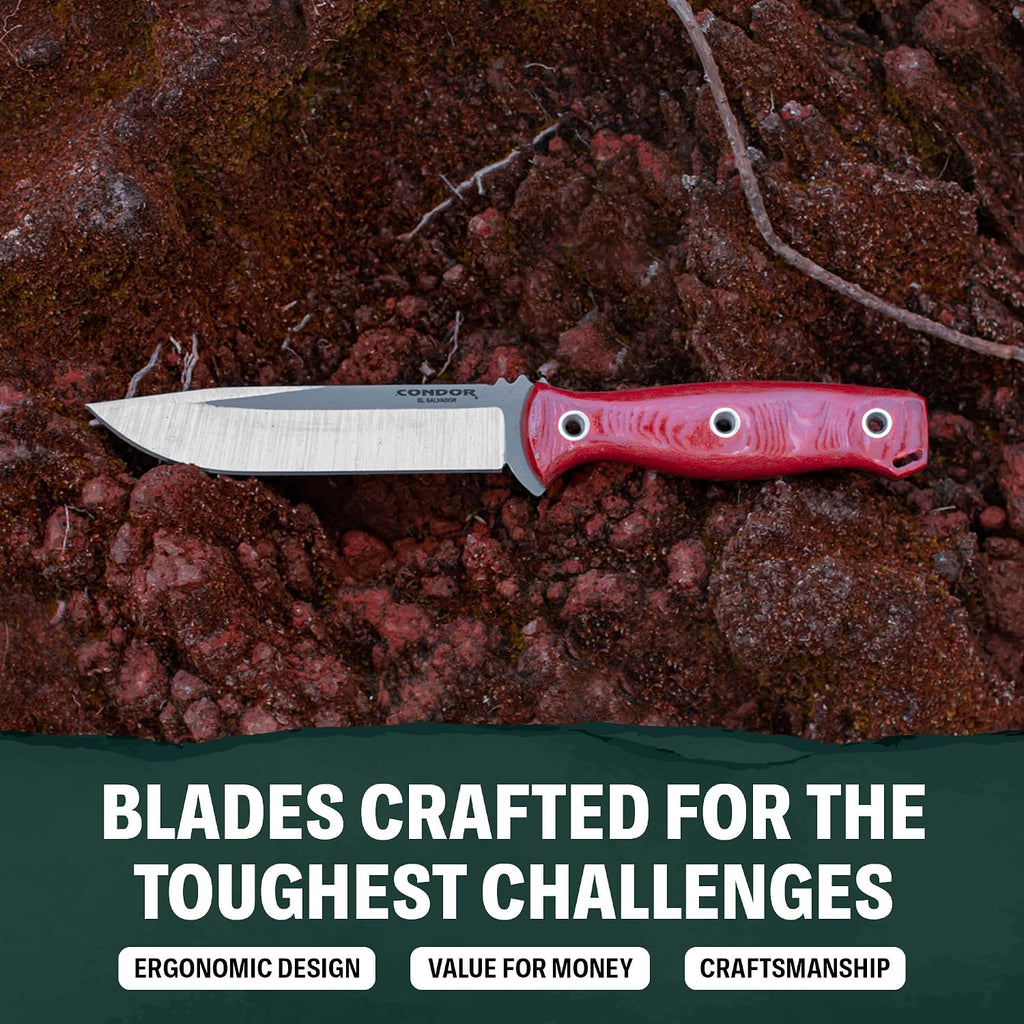 Condor Bushcraft Bliss Knife - 1075 High Carbon Steel - Walnut Handle - Small Fixed Blade Knife with Kydex Leather Loop Sheath - 3mm Thick - 4.8in Blade - 9.8oz