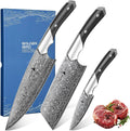 Golden Bird Damascus Kitchen Knife Set, 3 PCS Chef Knife Set Professional, Razor Sharp 67 Layers Damascus Japanese Knives Set for Kitchen with Wood Handle,Gifts for Men Women