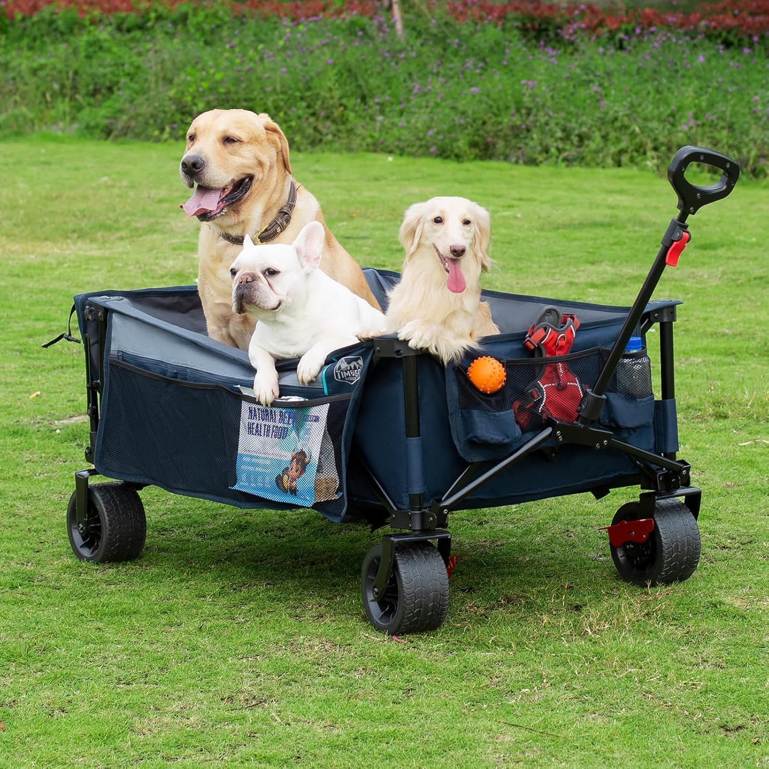 Timber Ridge 600L Beast Wagon 26' W Extra Wide All Terrain Folding w/Big Wheels, Cargo Net & Tailgate, 26' W and 55.25' L, 500lbs Heavy Duty Collapsible Portable Cart for Camping, Sports, Dogs, Blue