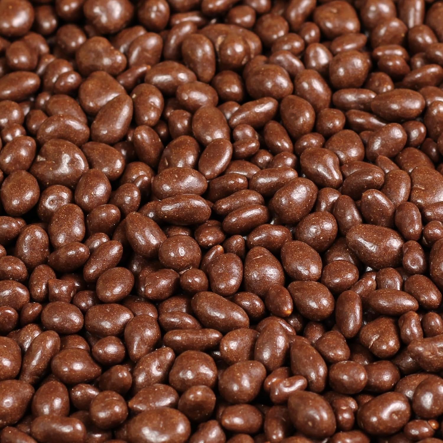 Milk Chocolate Toffee Coated Sunflower by It's Delish, 10 lbs Bulk Bag | Milk Chocolate Covered Candy Nuts Bulk Sunflower Chocolates Sweet & Crunchy Nut Snack | Kosher Dairy