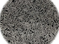 (Qty 250pcs) 10-32x2 Phillips Oval Head Screws Stainless Steel # 10/32 x 2' inch Multi-Purpose Comprehensive Hardware Fastener Assortment Kit Cit03494Riv